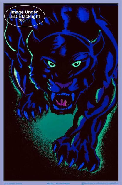 Posters Black Panther King of the Night - Black Light Poster 100143