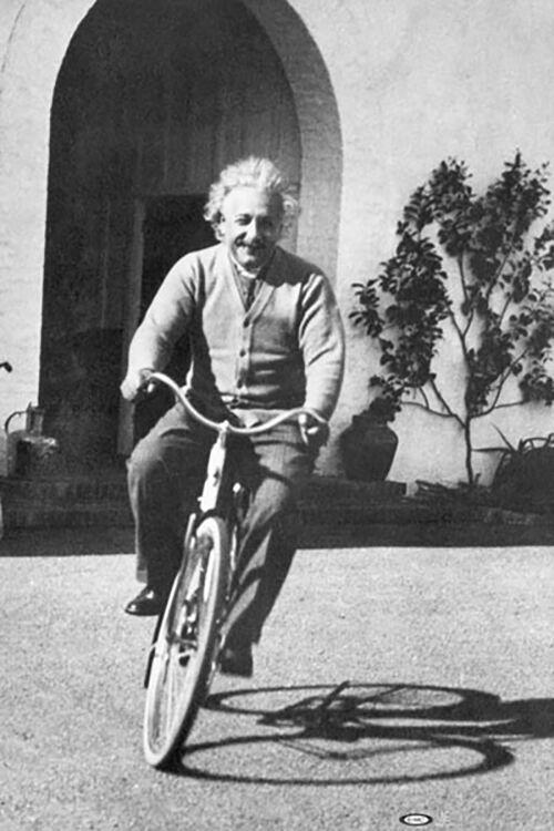 Posters Einstein - Bike - Poster 101189