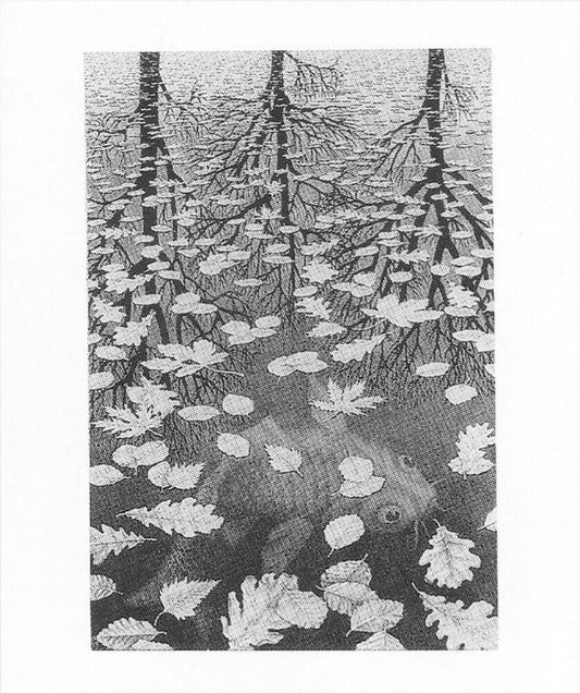 Posters Escher - Three Worlds - Poster 101225