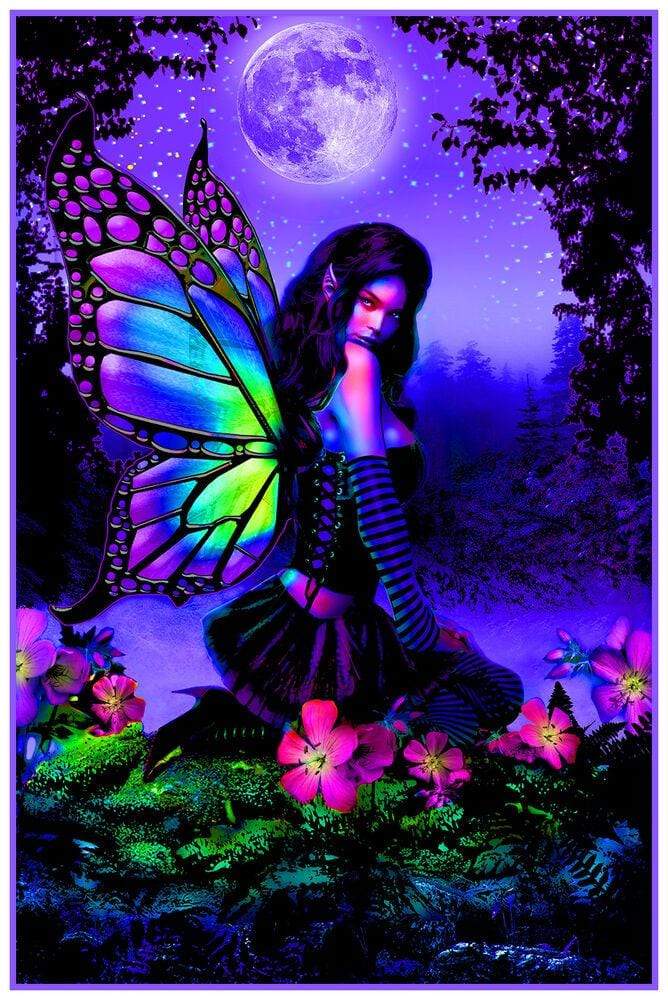 Posters Fairy Garden - Black Light Poster 101872