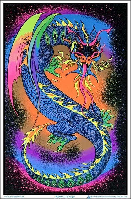 Posters Fire Dragon - Black Light Poster 100138