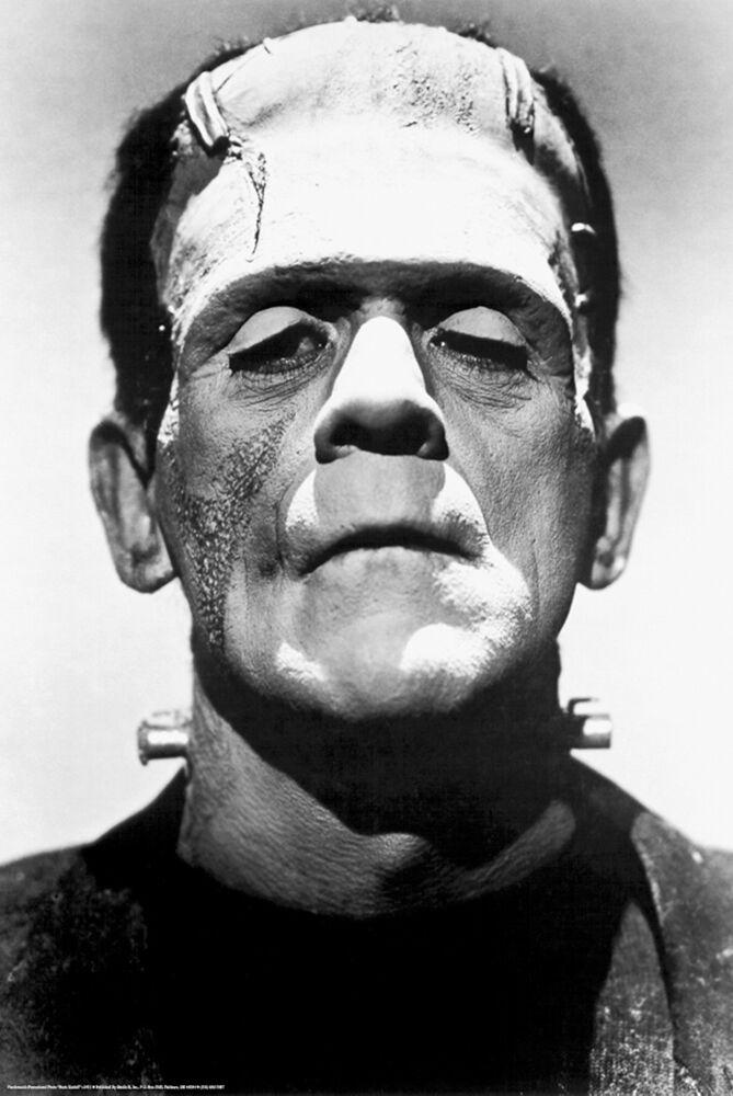 Posters Frankenstein - Headshot - Poster 102033