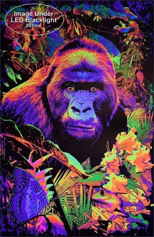 Posters Gorilla Encounter - Black Light Poster 100965