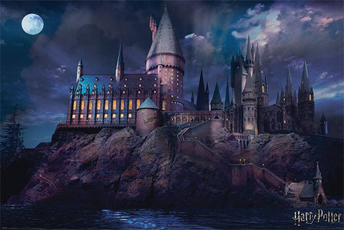 Posters Harry Potter - Hogwarts - Poster 102476