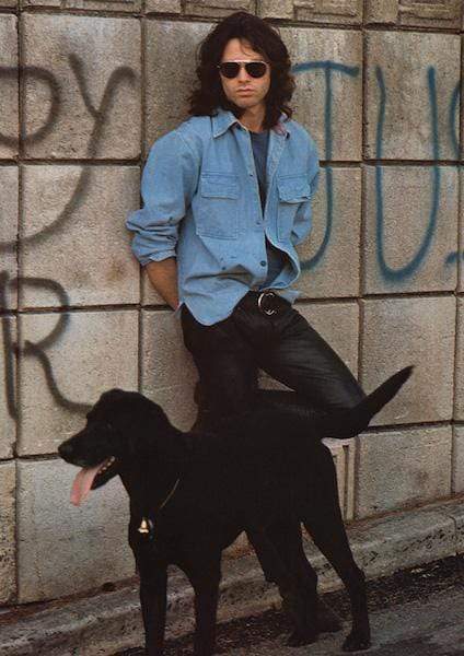 Posters Jim Morrison - Dog - Poster 101499