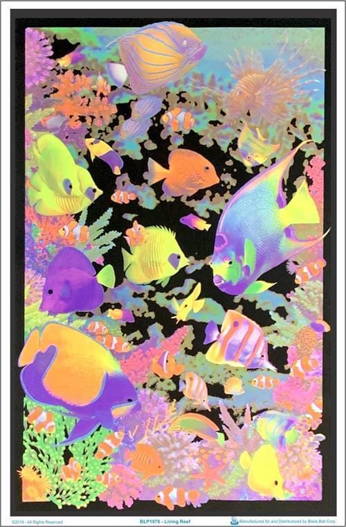 Posters Living Coral Reef - Black Light Poster 001687