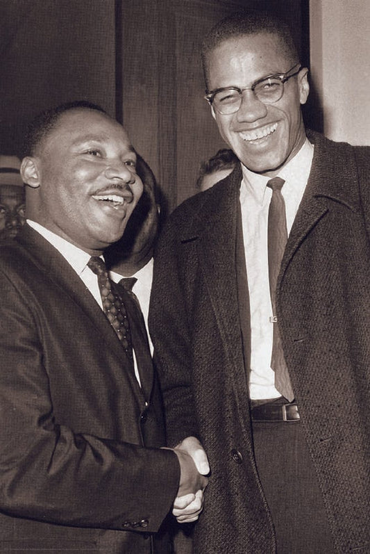 Posters Malcolm X and Martin Luther King Jr. - Poster 102861