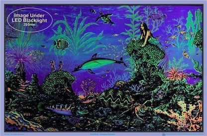 Posters Mermaid Octopus Garden - Black Light Poster 100069