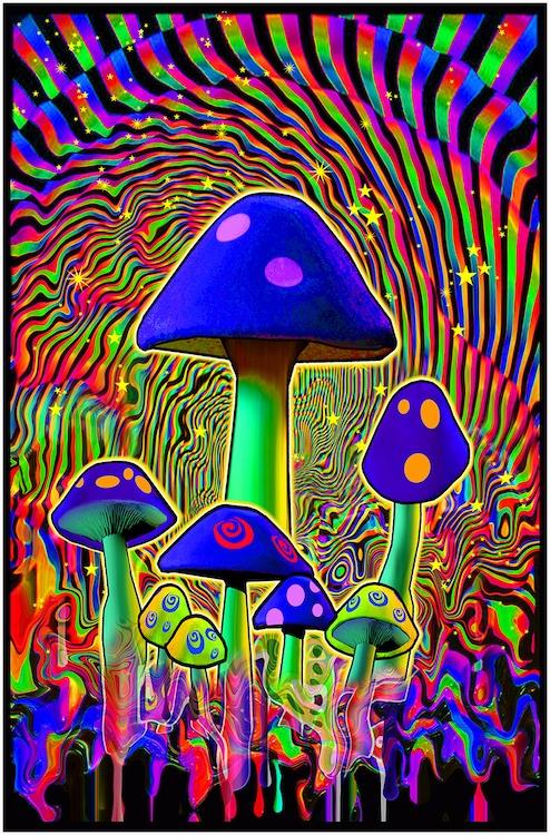 Posters Mind Melt Mushrooms - Black Light Poster 100341