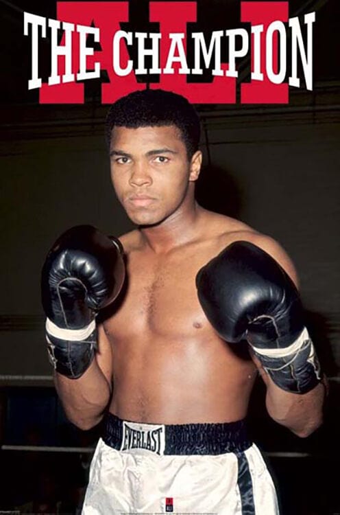 Posters Muhammad Ali - The Champion - Poster 102824