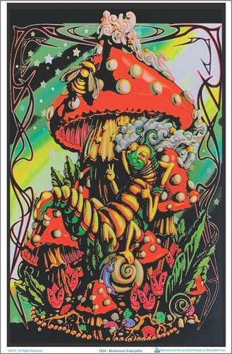 Posters Mushroom Caterpillar - Black Light Poster po-329