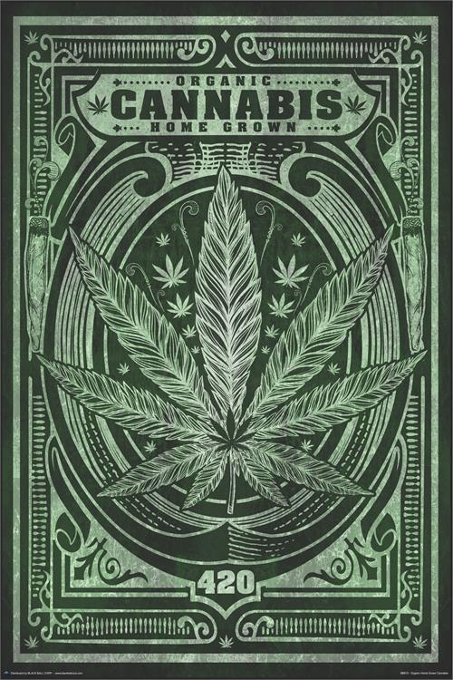 Posters Organic Homegrown Cannabis - Poster 100938