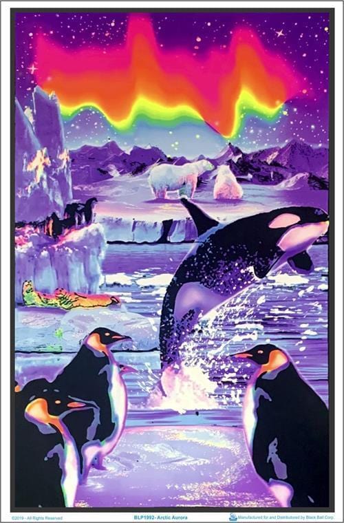 Posters Penguin Arctic Aurora - Black Light Poster 100147