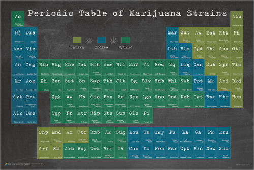 Periodic Table of Marijuana - Poster