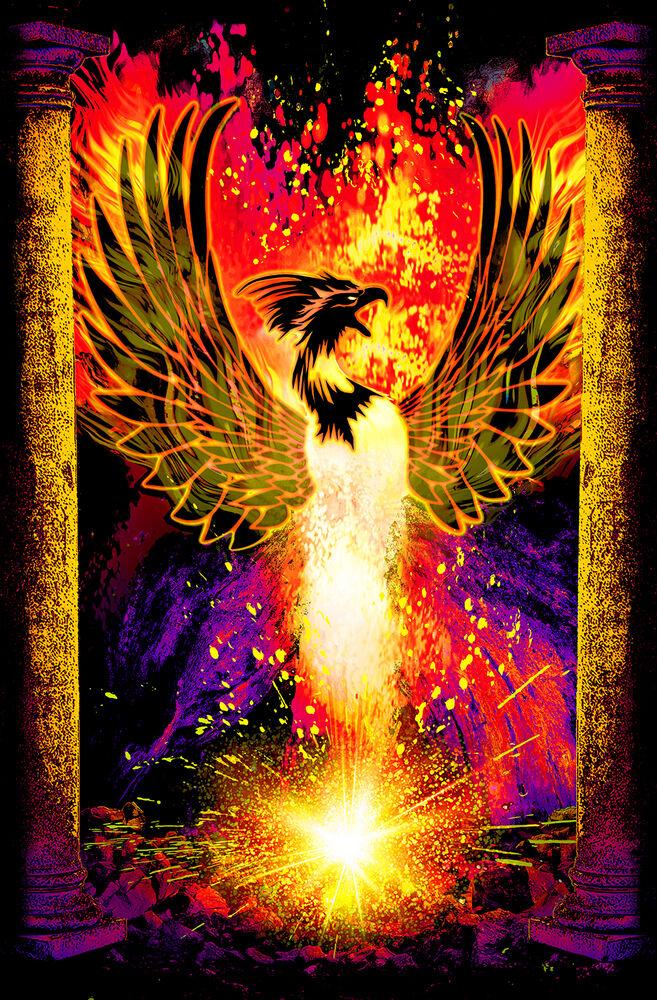Posters Phoenix Rebirth - Black Light Poster 100963