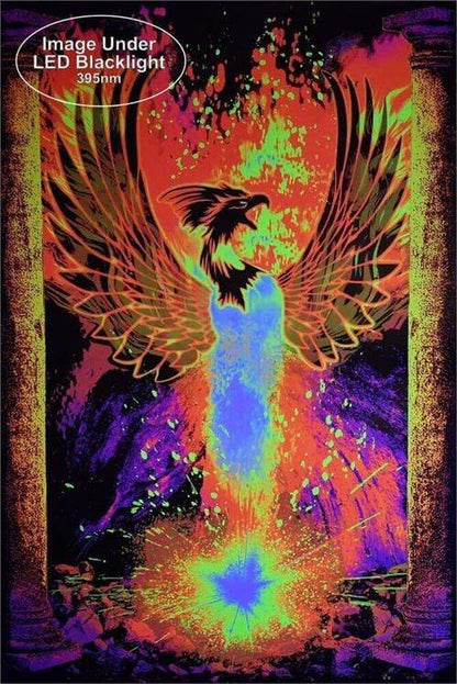 Posters Phoenix Rebirth - Black Light Poster 100963