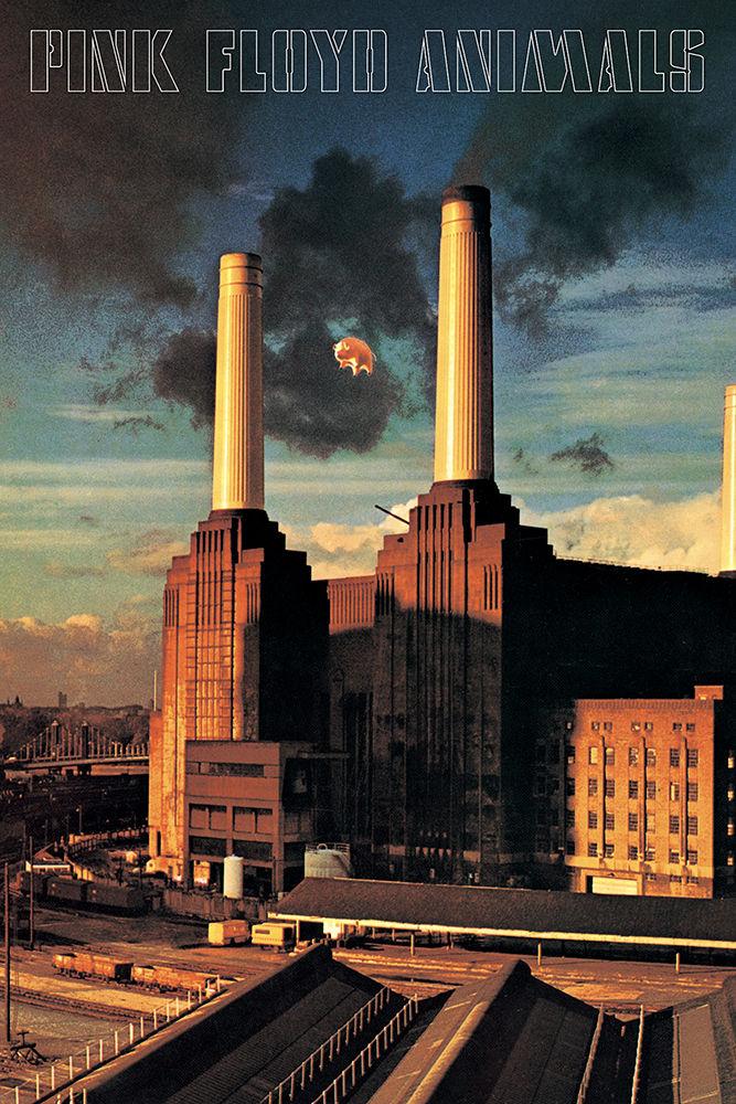 Pink Floyd Album Cover Animals