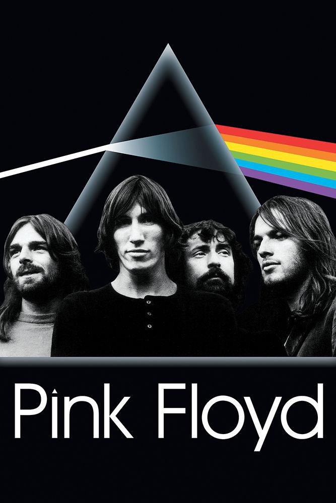 Posters Pink Floyd - Dark Side Group - Poster 100788