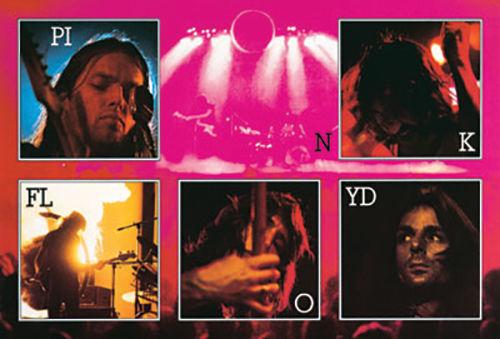 Pink Floyd - Live Collage - Poster โ TrippyStore