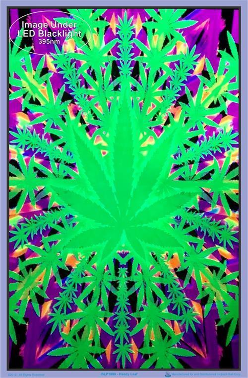Posters Psychedelic Heady Leaf - Black Light Poster 100049