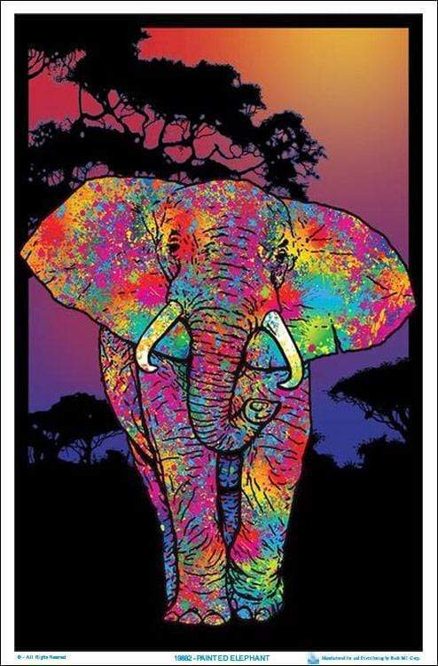 Posters Psychedelic Painted Elephant - Black Light Poster 100074