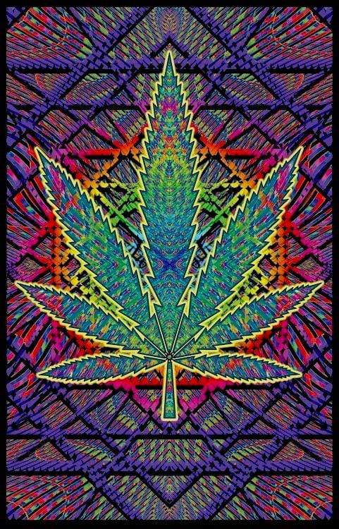 Posters Sacred Flower Cannabis Leaf - Black Light Poster 101759