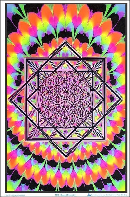 Posters Sacred Geometry - Black Light Poster 012303