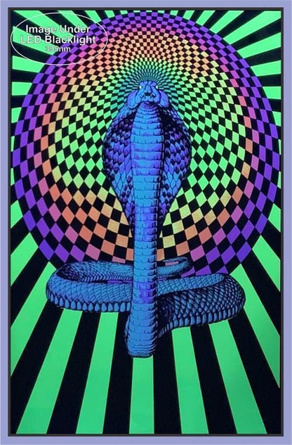 Posters Spellbound Cobra - Black Light Poster 100197