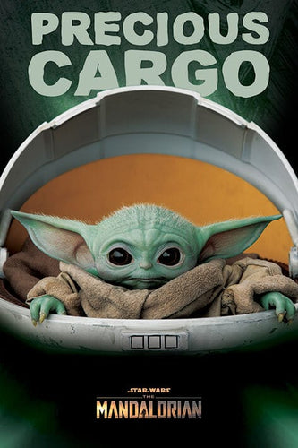 Posters Star Wars - The Mandalorian - Precious Cargo - Poster 102537