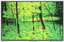 Load image into Gallery viewer, Posters Summer Woods - Black Light Poster 100141
