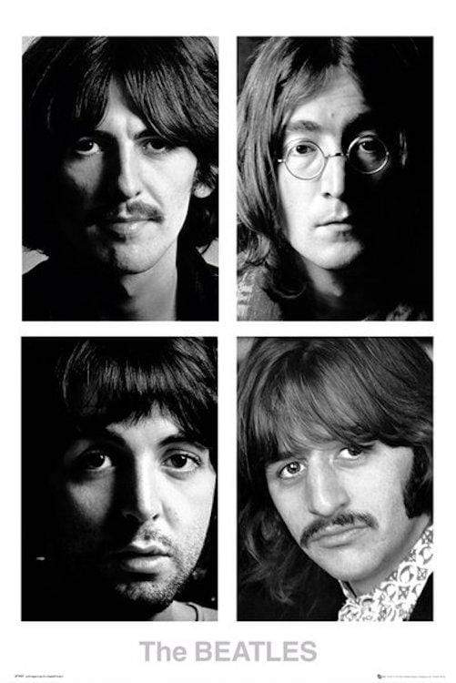 The Beatles - White Album Grid - Poster – TrippyStore