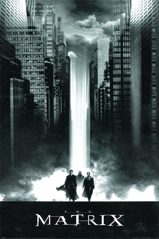 Posters The Matrix - Lightfall - Poster 102539