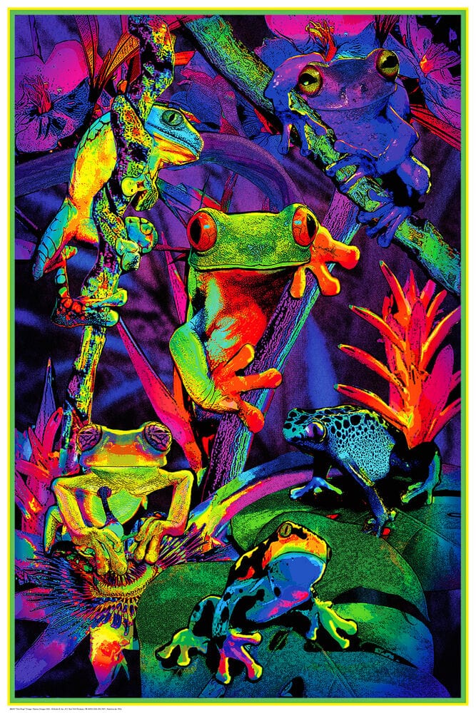 Posters Tree Frogs - Black Light Poster 102327