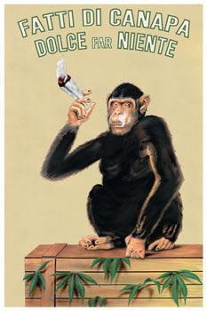 Posters Vintage Marijuana Monkey - Poster po-320