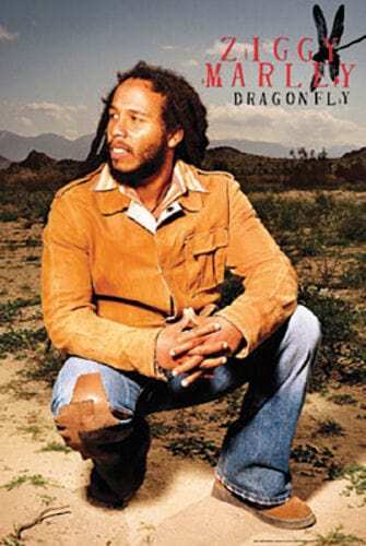Posters Ziggy Marley - Dragonfly - Poster 102438
