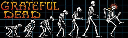 Stickers Grateful Dead - Evolution - Bumper Sticker 103292