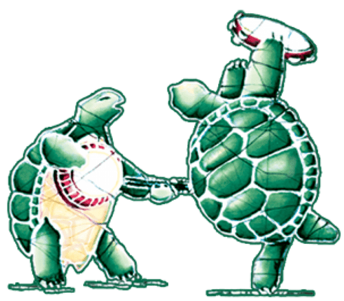 Stickers Grateful Dead - Jammin' Turtles - Sticker 002401