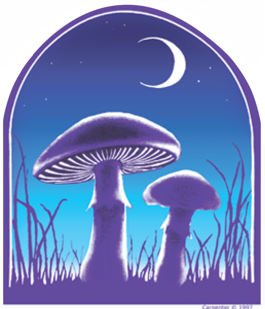 Stickers Mushrooms and Moon - Sticker 101765