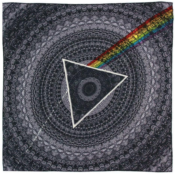 Pink Floyd - Dark Side of the Moon - Black Light Poster – TrippyStore